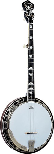 Ashbury 5 string - ashbury,