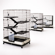 Rat ferret chinchilla cage - chinchilla,