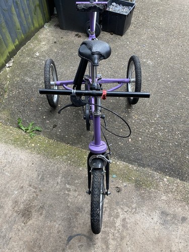 Tom cat trike special needs - cat,