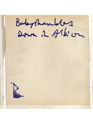 Babyshambles down in albion - down,
