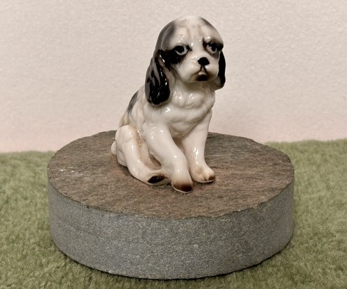 Vintage spaniel dog - spaniel,