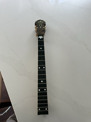 Antique vega tenor - tenor, banjo