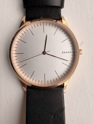 Skagen jorn skw1102 - jorn,