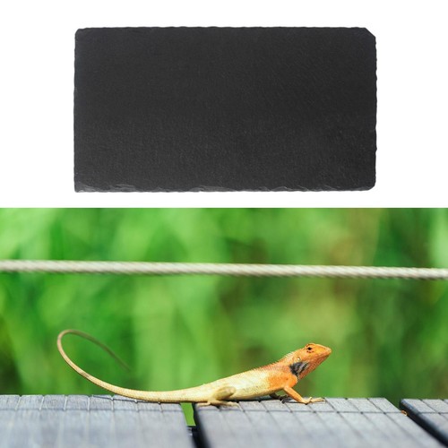 Reptile basking platform - basking,