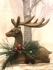 Cute Resting Deer Stag with
