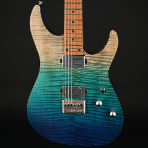 Schecter standard plus in - schecter, c-1