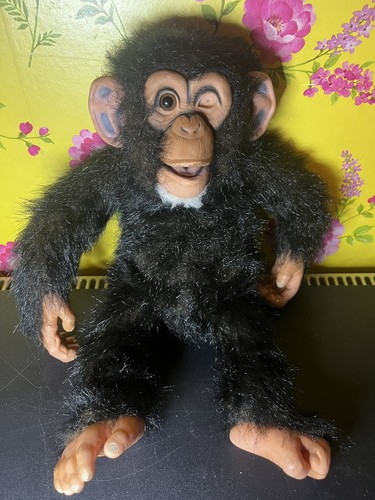 Axtell amazing apes chimpanzee - axtell,