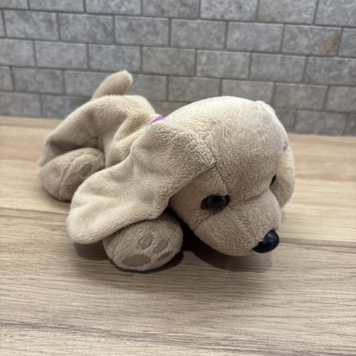 Cancer research tan puppy dog - research,