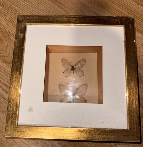 Vintage framed two