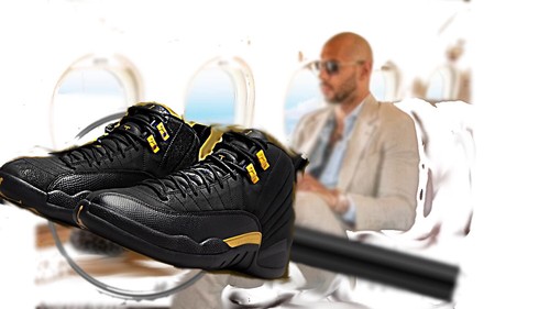 Nike air jordan - jordan, 12