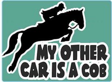 Horsebox Decal "My Other Car