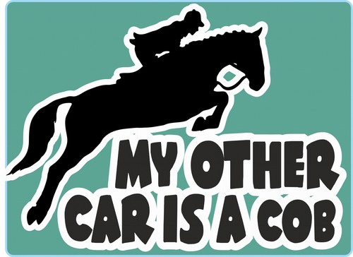 Horsebox decal other car - decal,