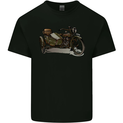 Motorcycle and sidecar biker - motorcycle,
