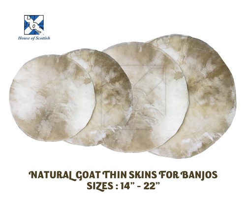 Goat thin skin - goat,