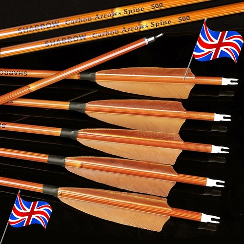 12x archery carbon arrows - 12x,