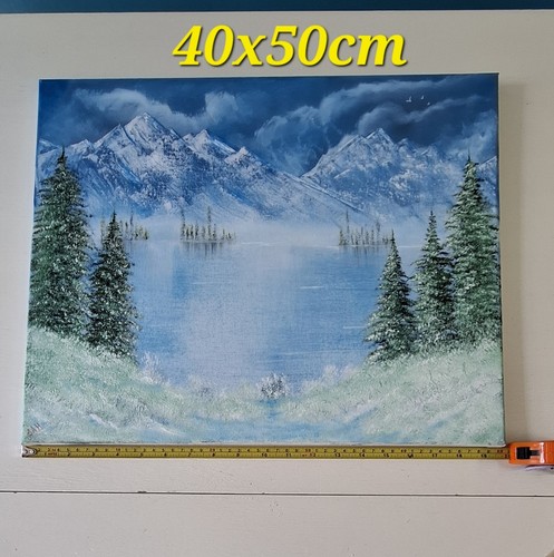 Mountain frozen lake - frozen, evergreen