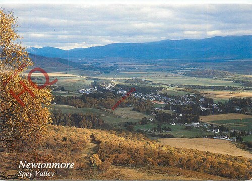 Picture postcard newtonmore - picture,