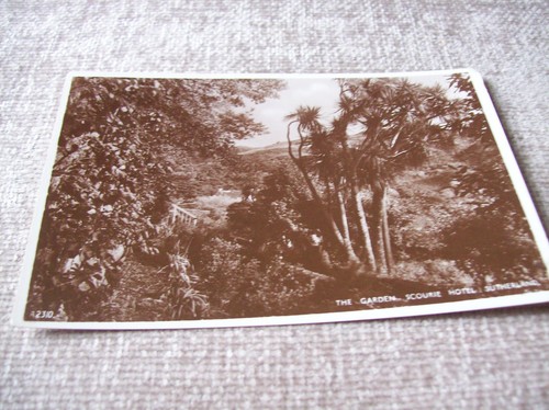 Postcard the garden - --,