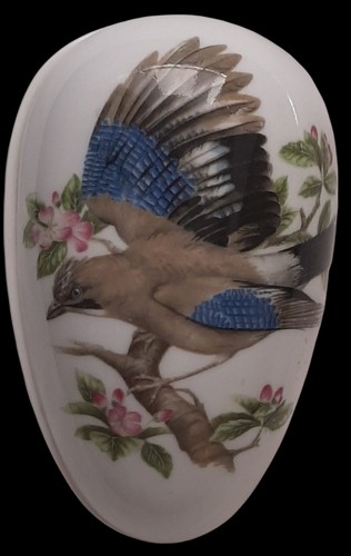 Coalport jay bird egg - bird,