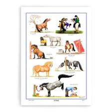 Alex Underdown cartoons cotton