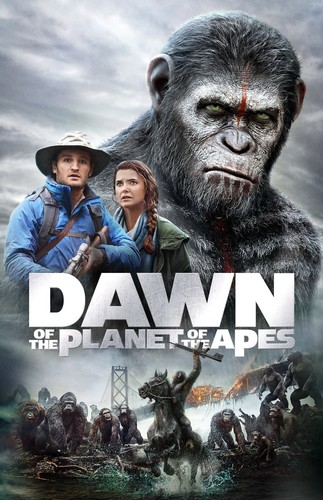 Aa0994 dawn the - dawn,