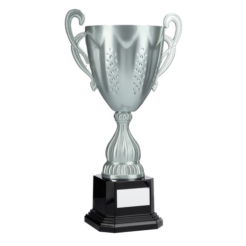 Large silver presentation cups - large,