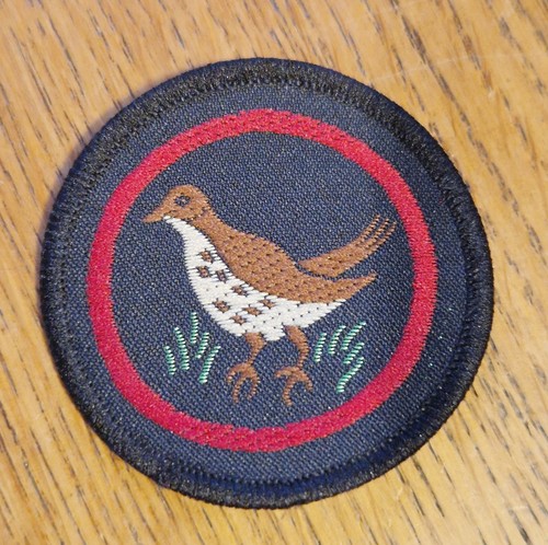 Girlguiding old thrush guide - girlguiding,