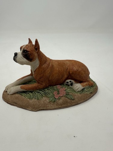 Sandicast fawn boxer dog - sandicast,