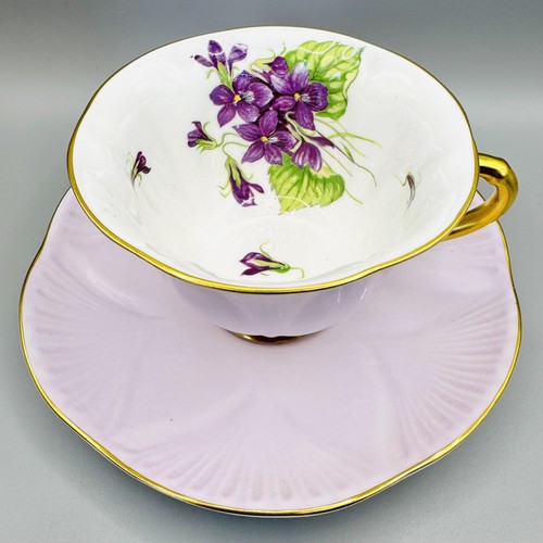 Shelley violets 13939 dainty - violets,