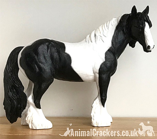 Black white horse - white, cob