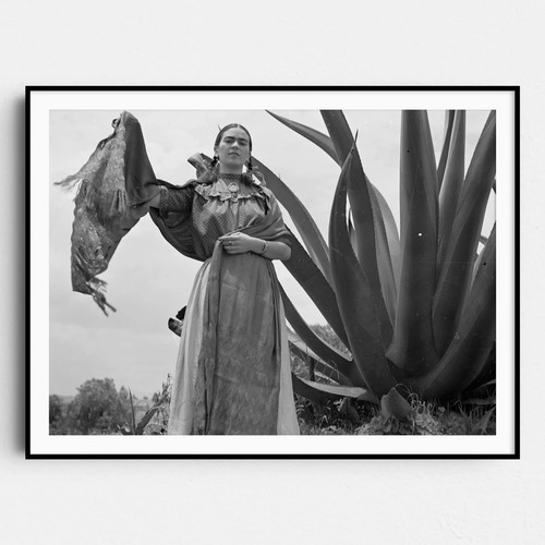 Frida kahlo next agave - frida,