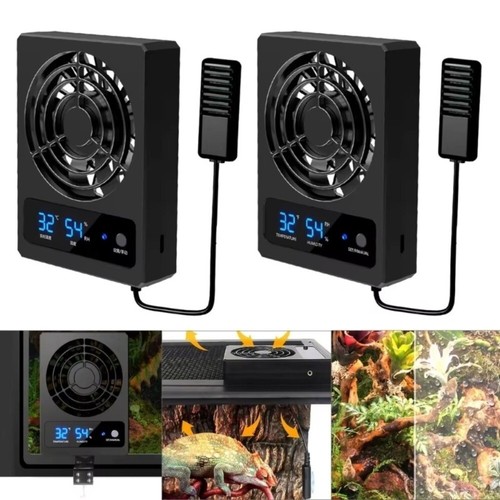 Low noise reptile terrarium - low,