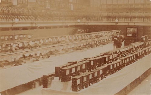 Postcard pigeon show - ,
