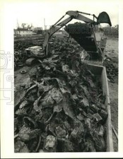 1995 Press Photo Tire shredder