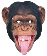 Chimpanzee Animal 2D Single