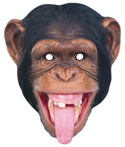 Chimpanzee animal single - animal,