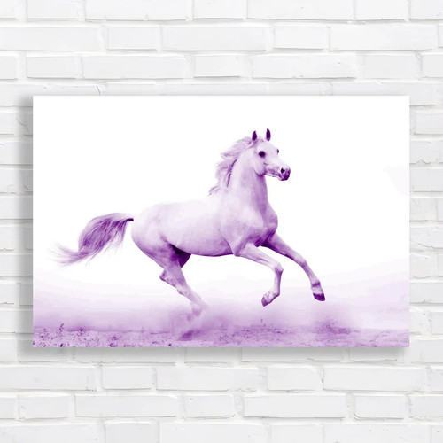Running stallion horse - running,