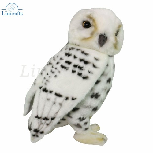 Hansa snowy owl - hansa,