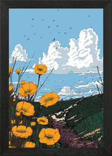 Poppy Field Landscape