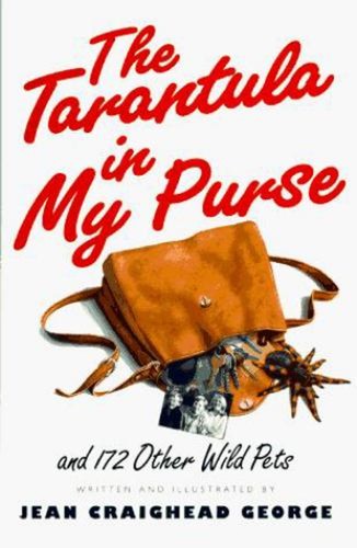 The tarantula purse - the,