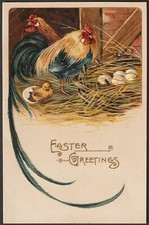 EASTER GREETINGS postcard Exotic breed chickens (Phoenix?)