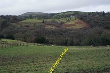 Photo A1 Grazing land by
