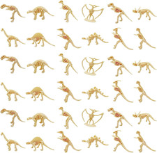 36PCS Dinosaur Bones, Mini