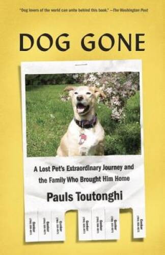Dog gone lost pet - dog, a