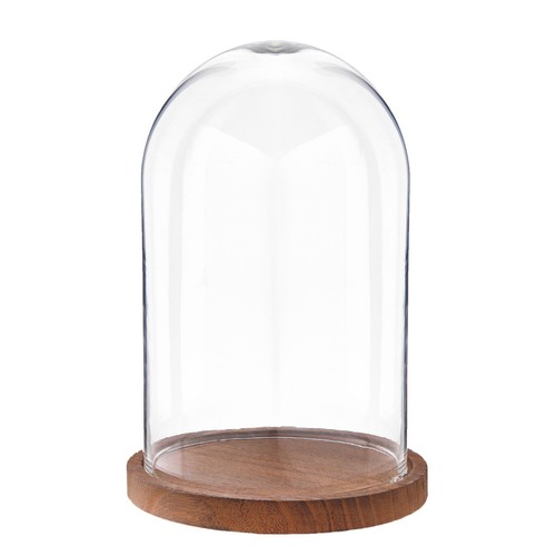 25cm glass display bell - glass,
