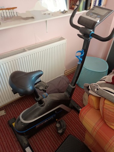 Roger black gold exercise bike - gold,