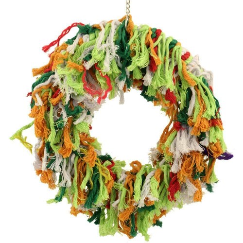 Rainbow ring parrot - ring, african