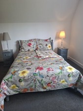 Pottery Barn hummingbird kingsize duvet cover oxford pillows show use only mint 