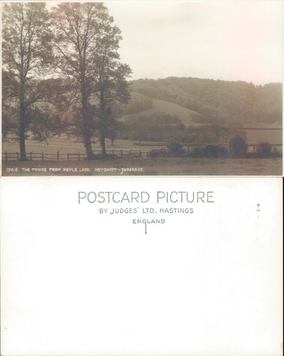 The downs from hoyle - downs,