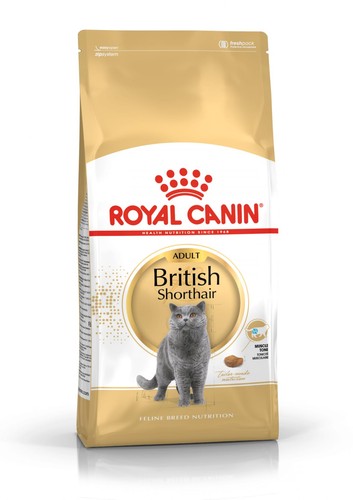 Royal canin british shorthair - british,